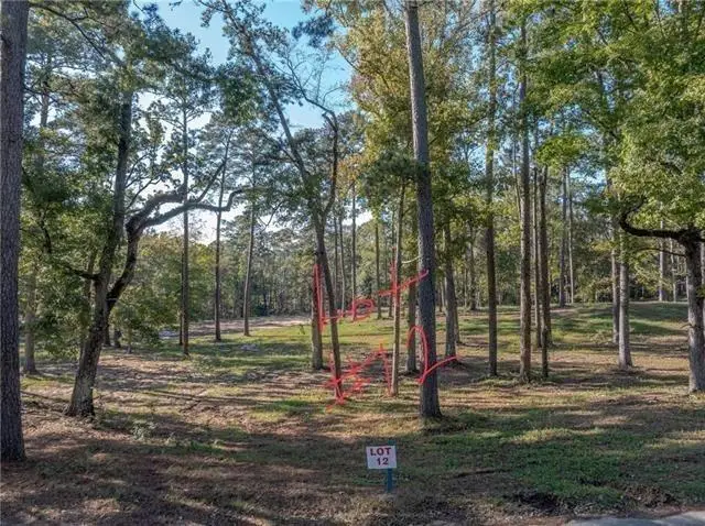 0 Amelia Lot 12 Lane, Boyce, LA 71409 - #2