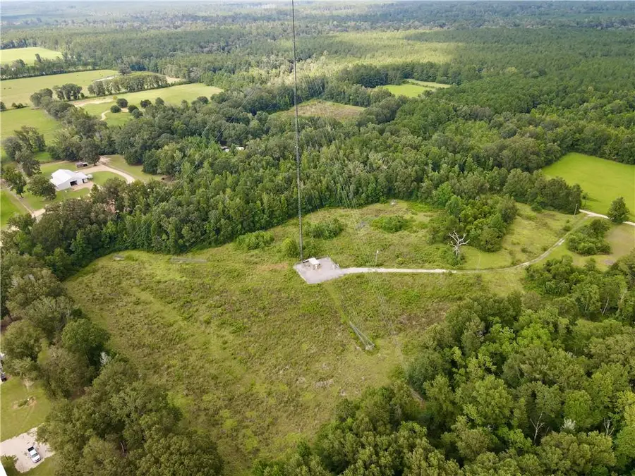 CW-1 Savoie Lane, Loranger, LA 70446 - #2