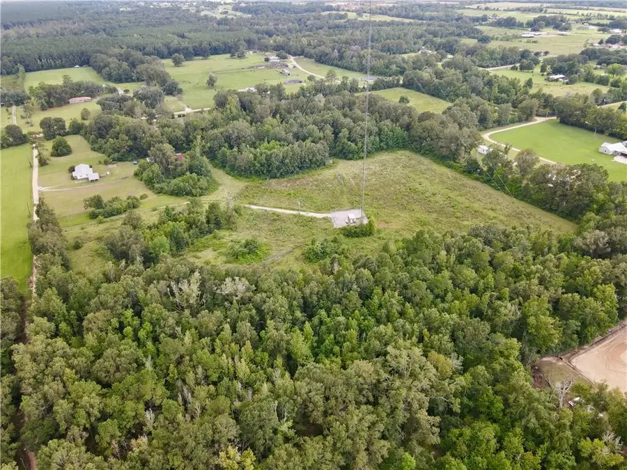 CW-4 Savoie Lane, Loranger, LA 70446 - #3