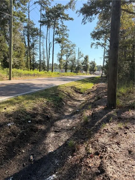 Hwy 36 Highway, Abita Springs, LA 70420 - #3