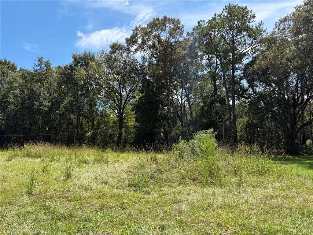 40219 Lot 2 N Thibodeaux Road, Ponchatoula, LA 70454 - #1