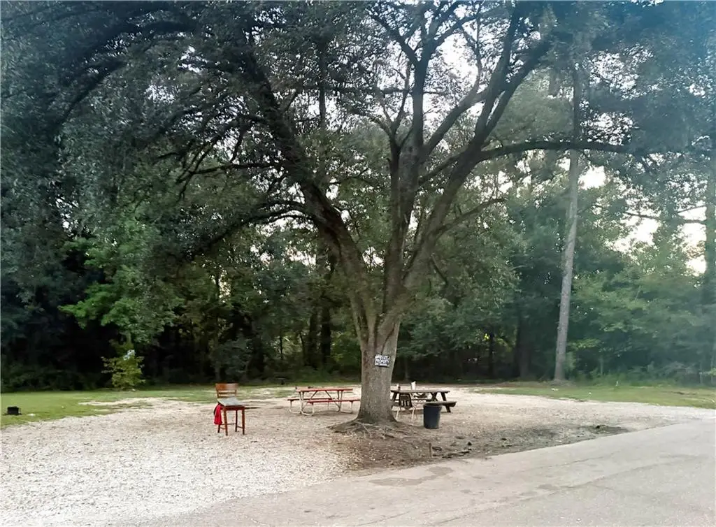 21305 Success Street, Covington, LA 70435 - #1