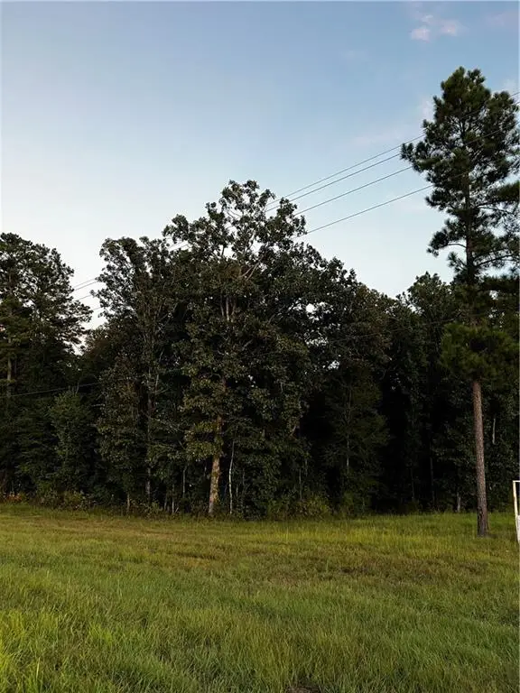 11132 Hwy 28 W Highway, Boyce, LA 71409 - #2
