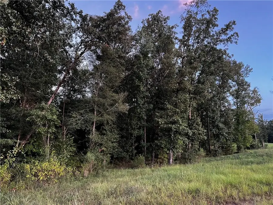 11132 Hwy 28 W Highway, Boyce, LA 71409 - #3