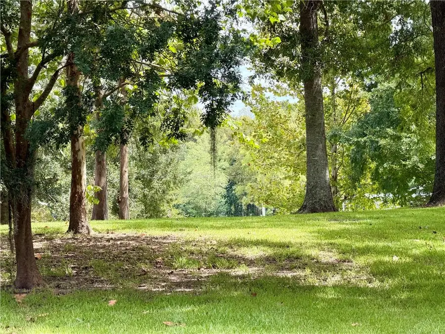 13304 Bayou Terrace Drive, Saint Amant, LA 70774 - #2