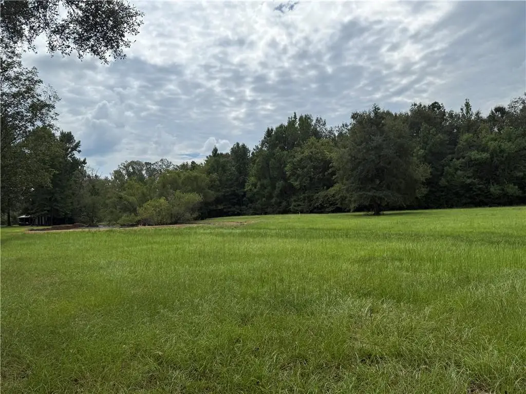 TBD Smetak Road, Deville, LA 71328 - #1