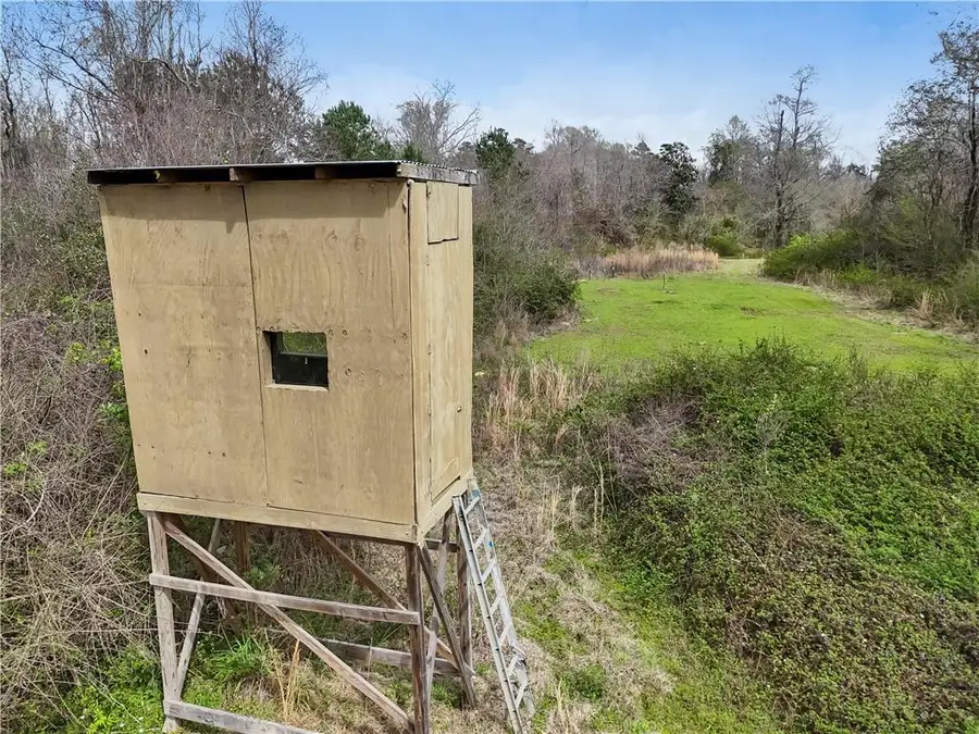 66350 Highway 1058, Roseland, LA 70456 - #3
