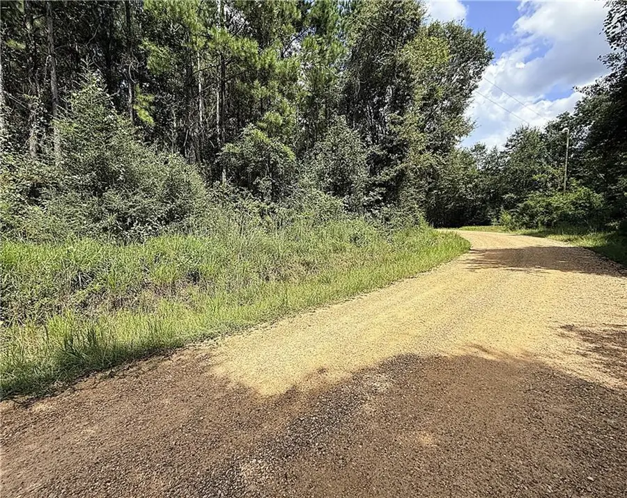 Lot F Otis Jones Road, Franklinton, LA 70438 - #3