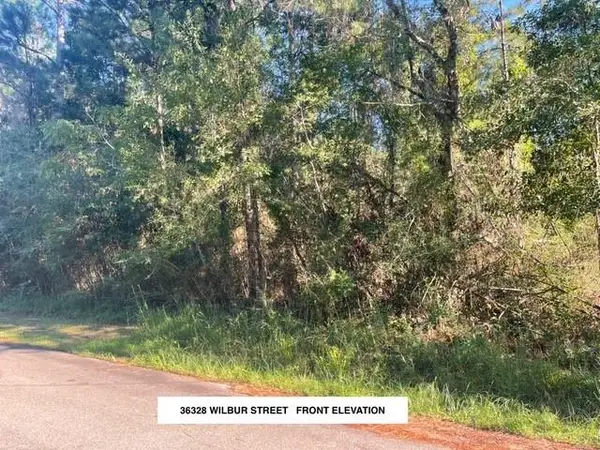 36328 Wilbur Street, Slidell, LA 70460