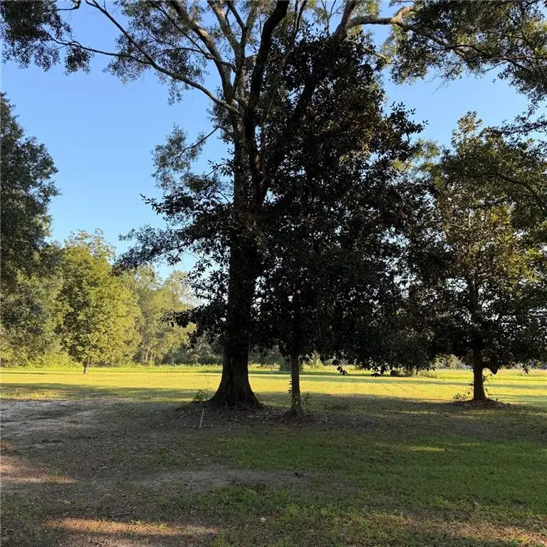 Lot 3 Ed Yates Road, Pearl River, LA 70452 - #3