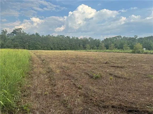 Lonnie Duncan Road, Mount Hermon, LA 70450 - #1