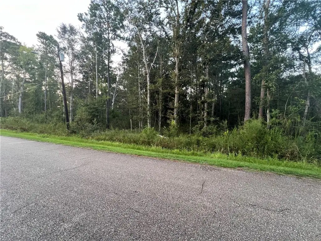 16 Heltemes Lane, Lacombe, LA 70445 - #1