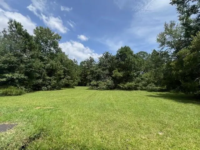 24520 Paradise Lane, Lacombe, LA 70445 - #2