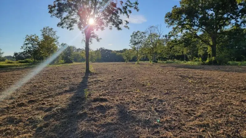 Tract 1B N Backstep Road, Plaucheville, LA 71362 - #2