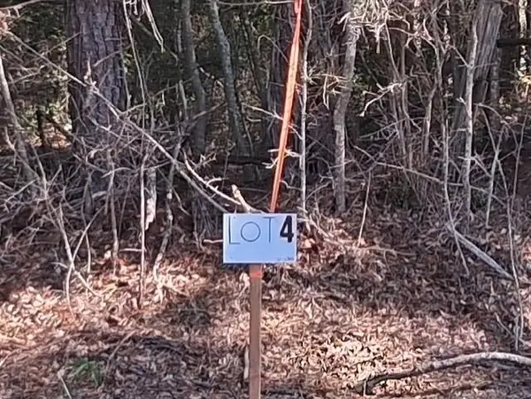 La Hwy 424 - Lot 4, Franklinton, LA 70438