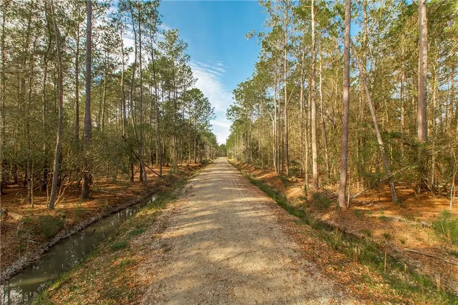 18382 Amore Way, Covington, LA 70435 - #2