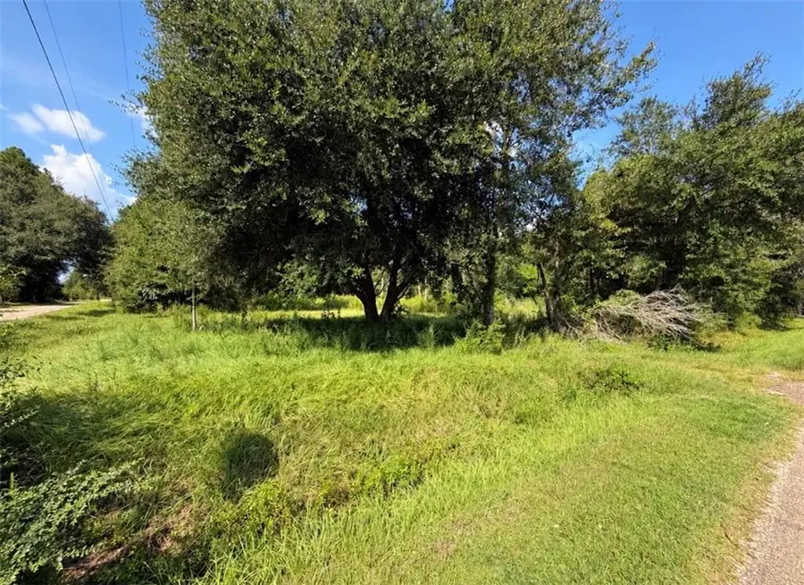 126 Stallion Run, Pearl River, LA 70452 - #2