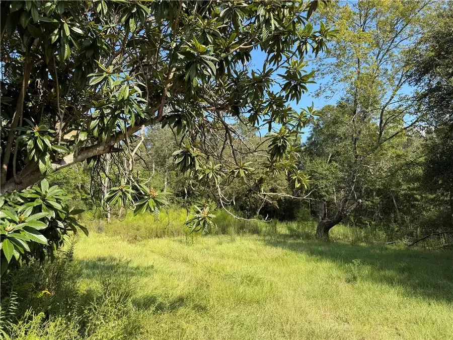126 Stallion Run, Pearl River, LA 70452 - #3