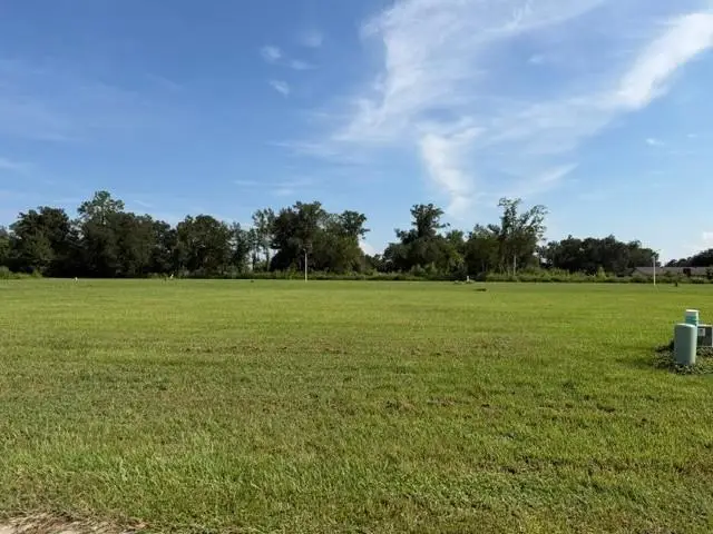 227 River Place Drive, Hahnville, LA 70057 - #1