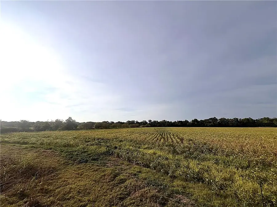 Large Road, Mansura, LA 71350 - #3