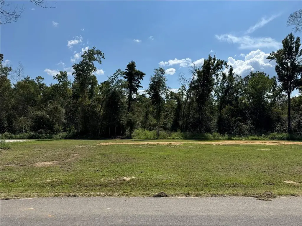 LOT B Linda's Haven Road, Springfield, LA 70462 - #1