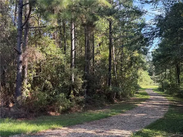 TBD Izebella Drive, Amite, LA 70422