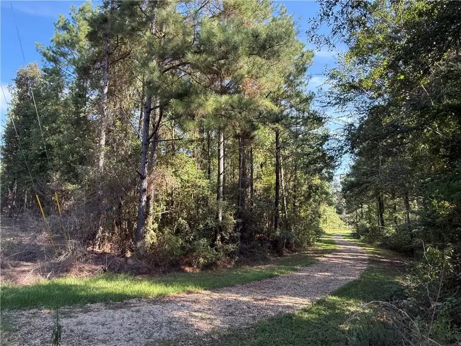 TBD Izebella Drive, Amite, LA 70422 - #2