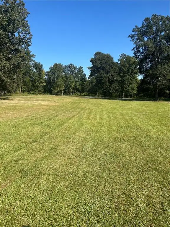 49090 Stafford Road, Tickfaw, LA 70466 - #1