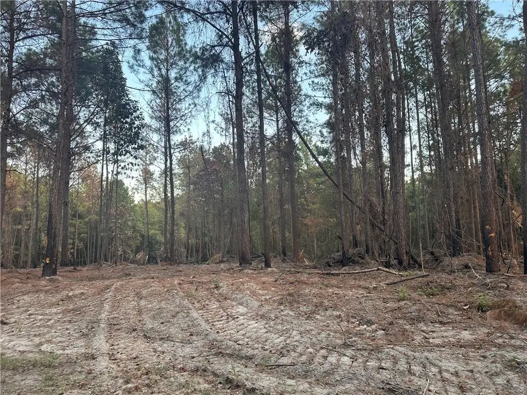 0 East Meade Road, Pollock, LA 71467 - #1