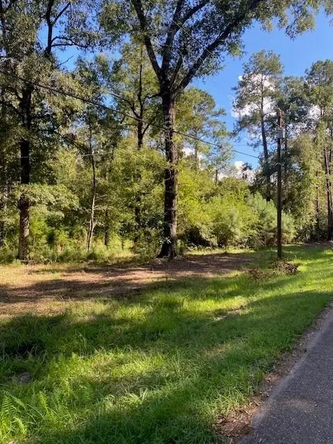 56 Park Lane, Folsom, LA 70437 - #1