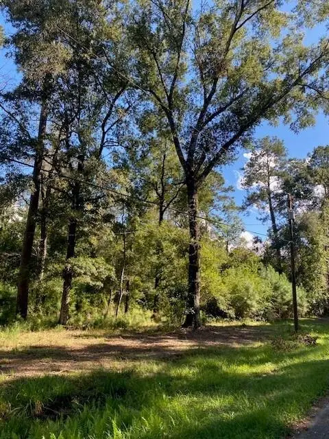 56 Park Lane, Folsom, LA 70437 - #2