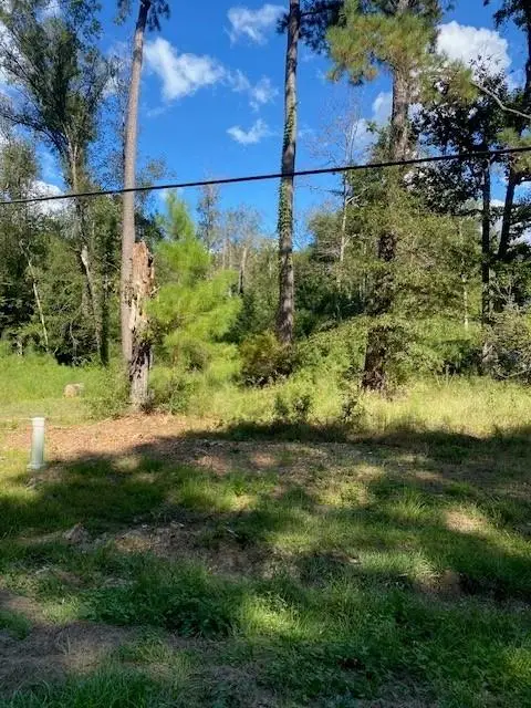 60 Park Lane, Folsom, LA 70437 - #1