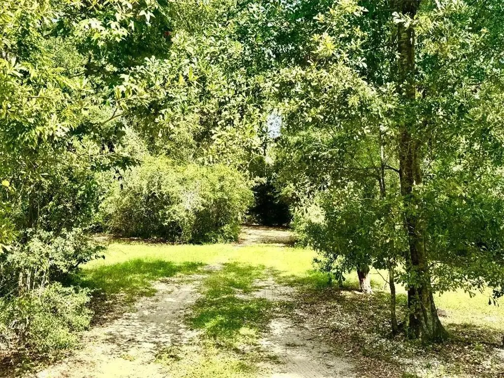 707 Copal Street, Mandeville, LA 70448 - #1