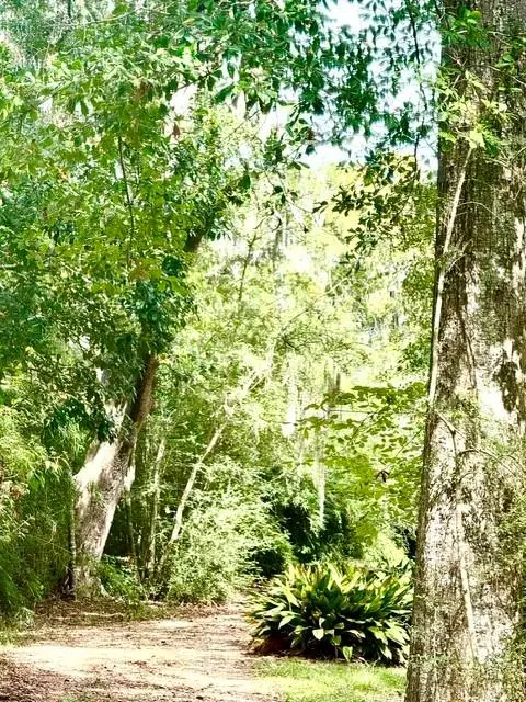 707 Copal Street, Mandeville, LA 70448 - #2