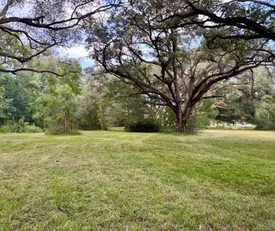544 Highway 1085, Madisonville, LA 70447 - #2