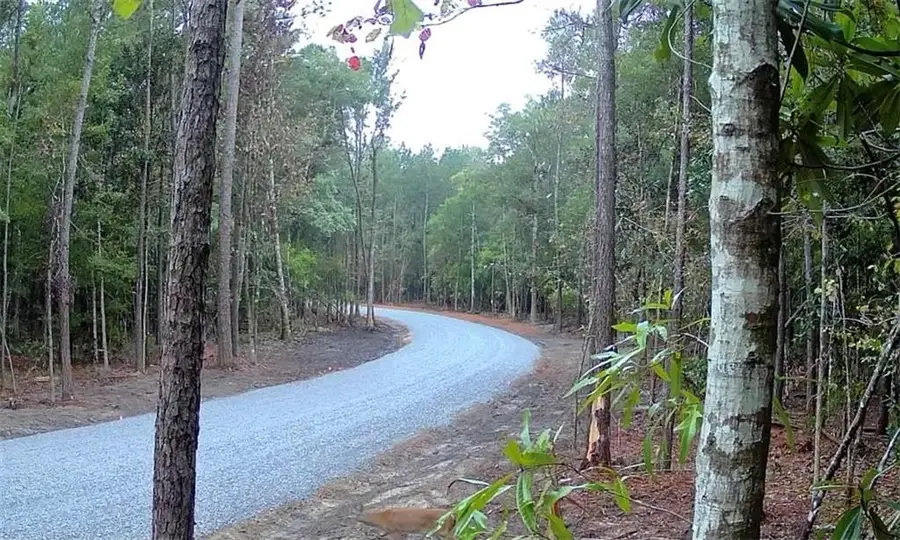 Parcel 4-A Loblolly Ridge Drive, Folsom, LA 70437 - #2