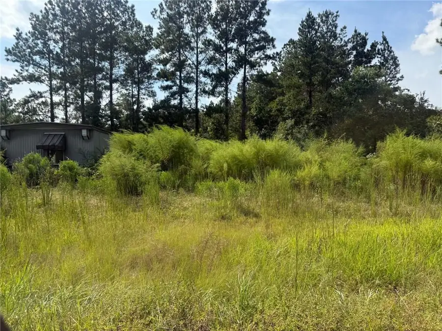11 Penny Lane, Independence, LA 70443 - #3