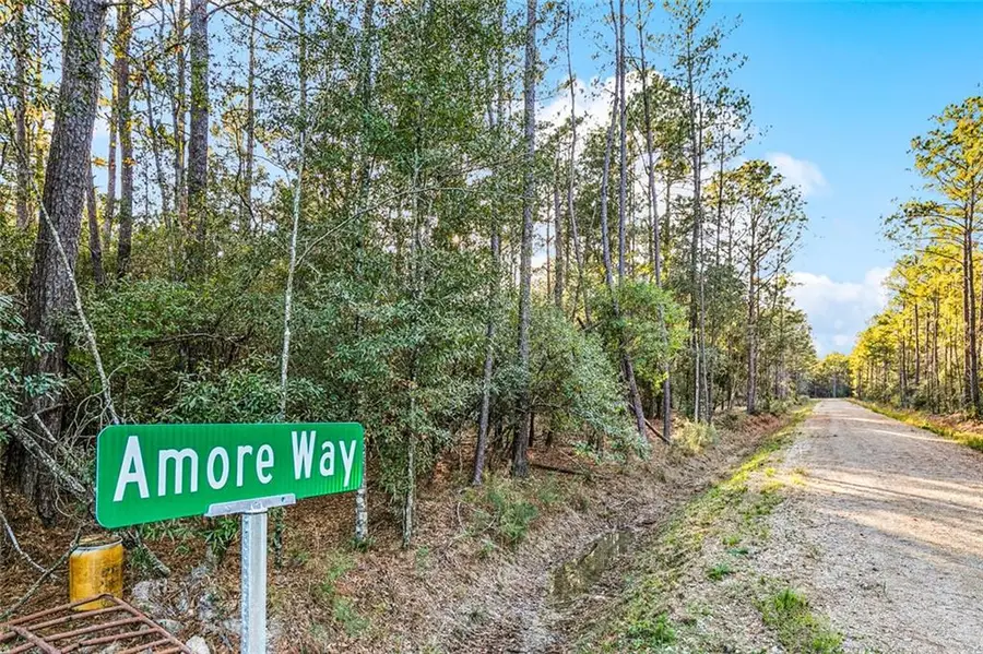 18321 Amore Way, Covington, LA 70435 - #2