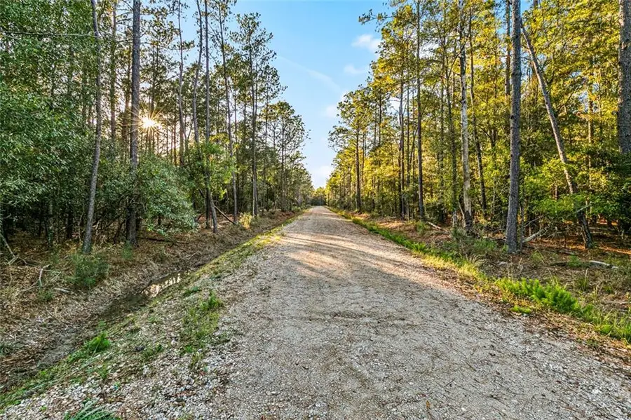 18321 Amore Way, Covington, LA 70435 - #3