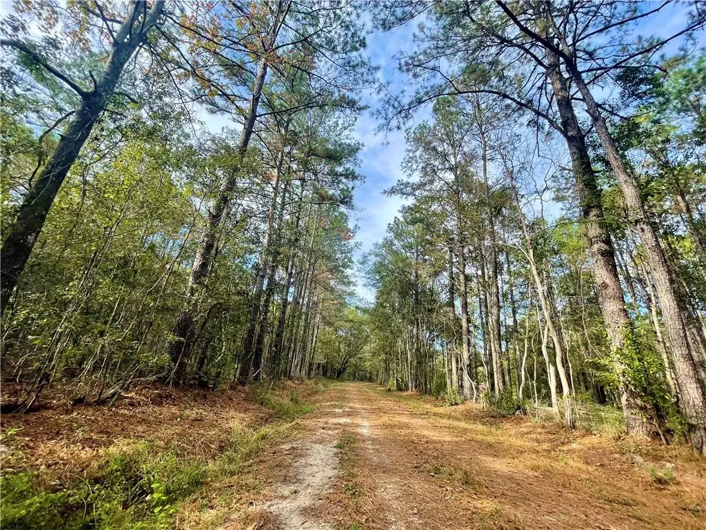 37285 Dummyline Road, Pearl River, LA 70452 - #1