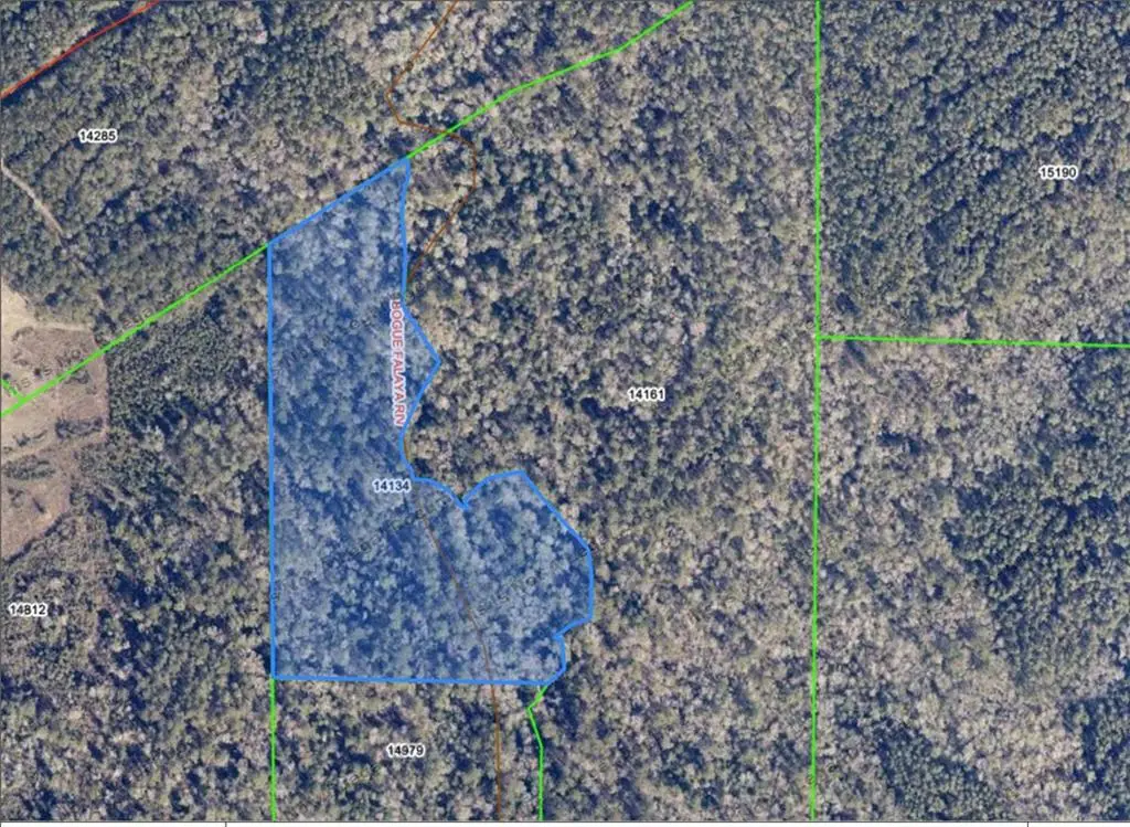 Joseph Road, Folsom, LA 70437 - #1