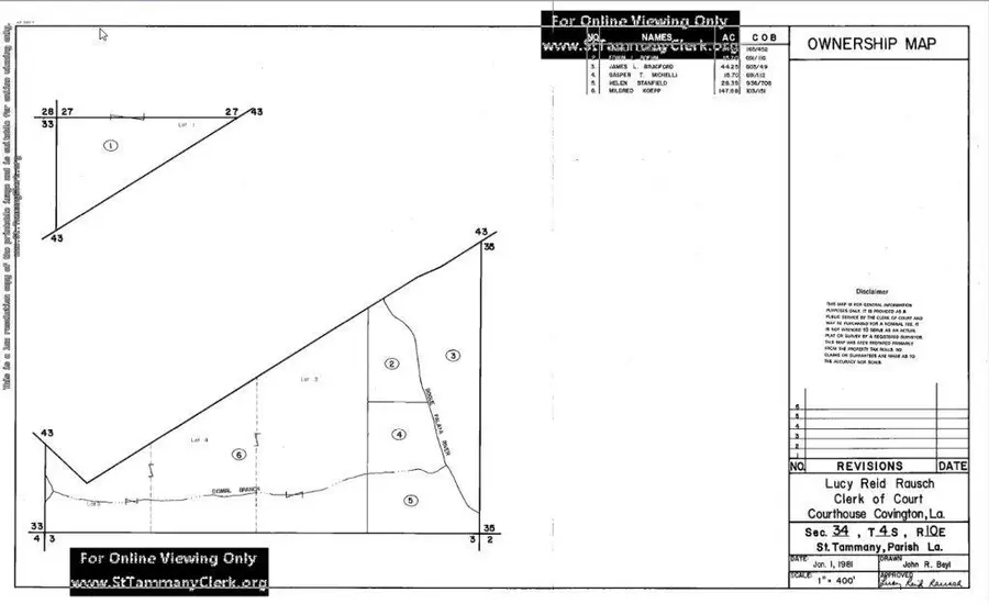 Joseph Road, Folsom, LA 70437 - #2