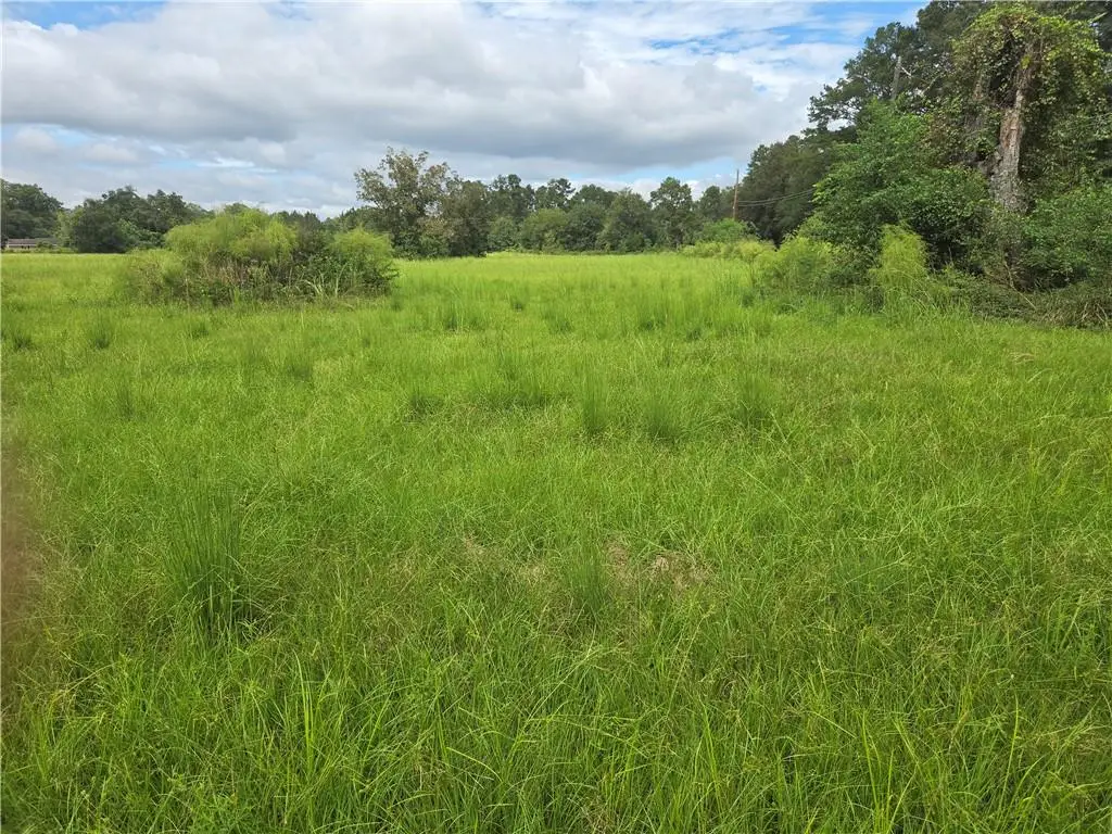 Highway 1065 4.42 Acres #2, Tickfaw, LA 70466 - #1