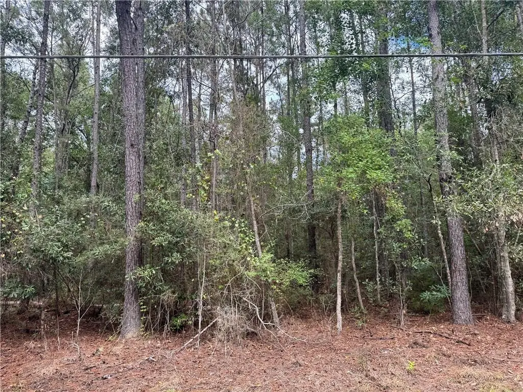 Becky Lake Drive, Pearl River, LA 70452 - #1