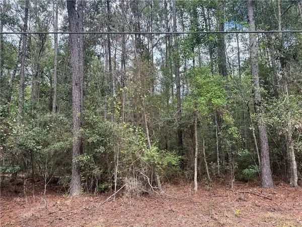 Becky Lake Drive, Pearl River, LA 70452