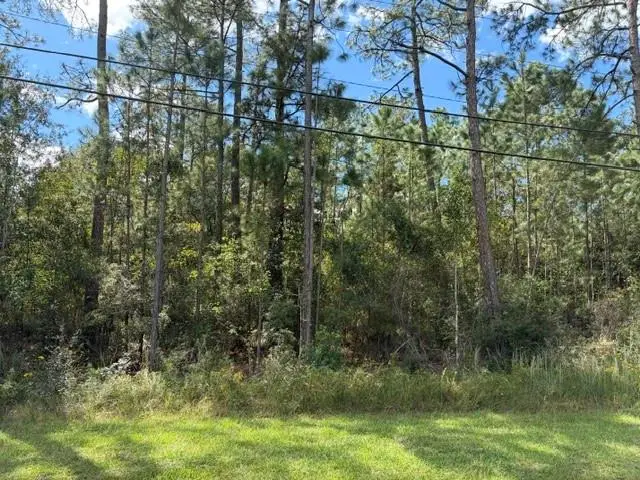 0 Sunrise Lake Drive, Lacombe, LA 70445 - #2
