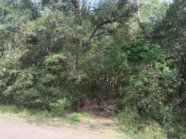 0 Sunrise Lake Drive, Lacombe, LA 70445 - #1