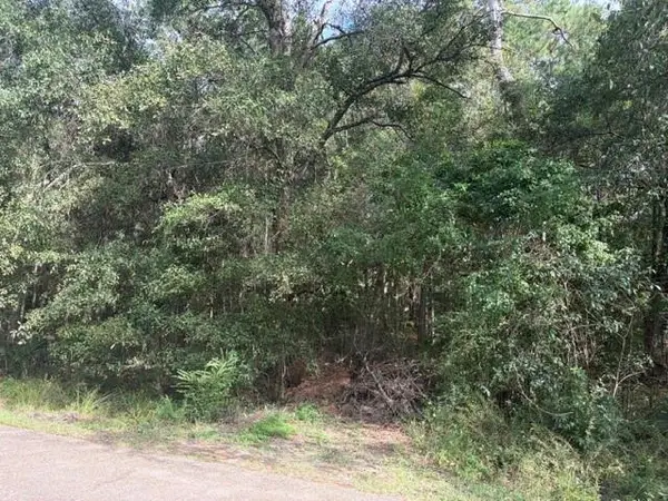 0 Sunrise Lake Drive, Lacombe, LA 70445