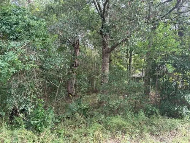 0 Sunrise Lake Drive, Lacombe, LA 70445 - #2