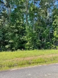0 Sunset Road, Glenmora, LA 71433 - #2